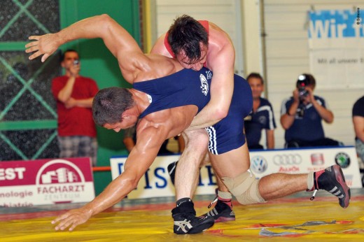 20110903_MansfelderLand_Moewe